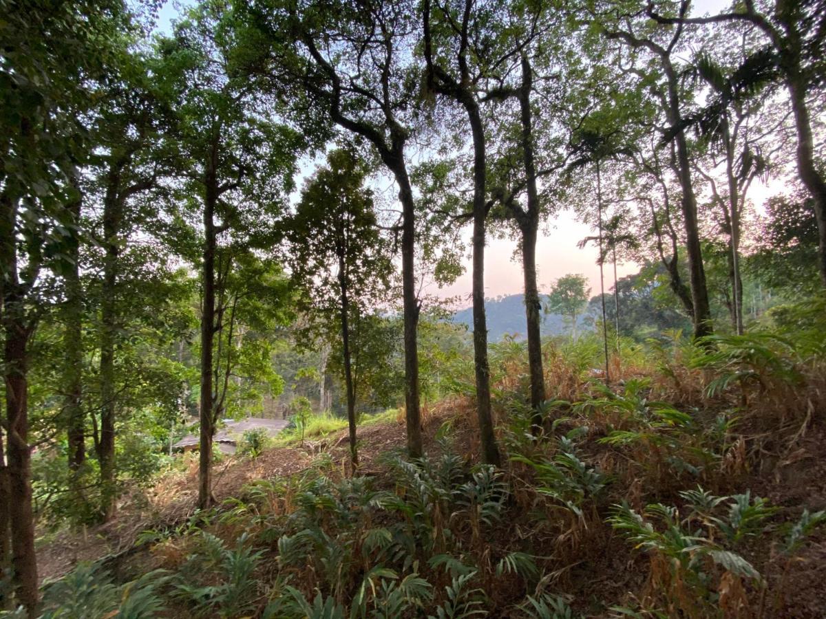 Nature Cool Villas Kallar Vattiyar Luaran gambar